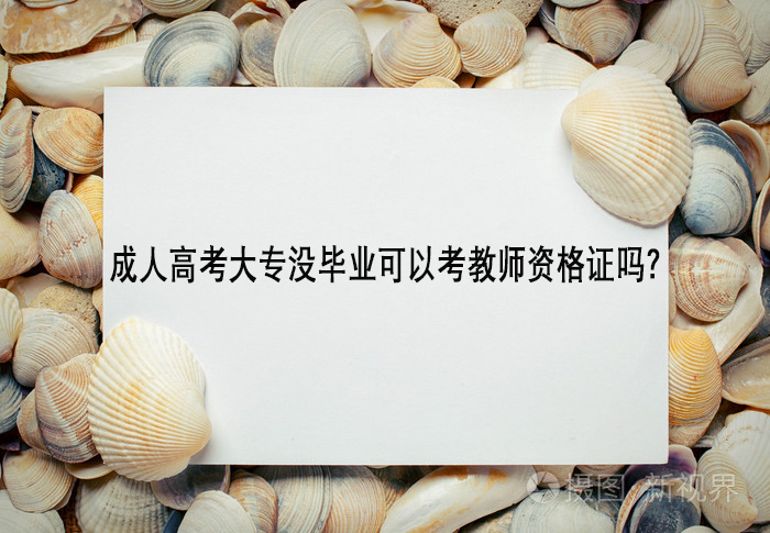 成人高考大专没毕业可以考教师资格证吗？.jpg